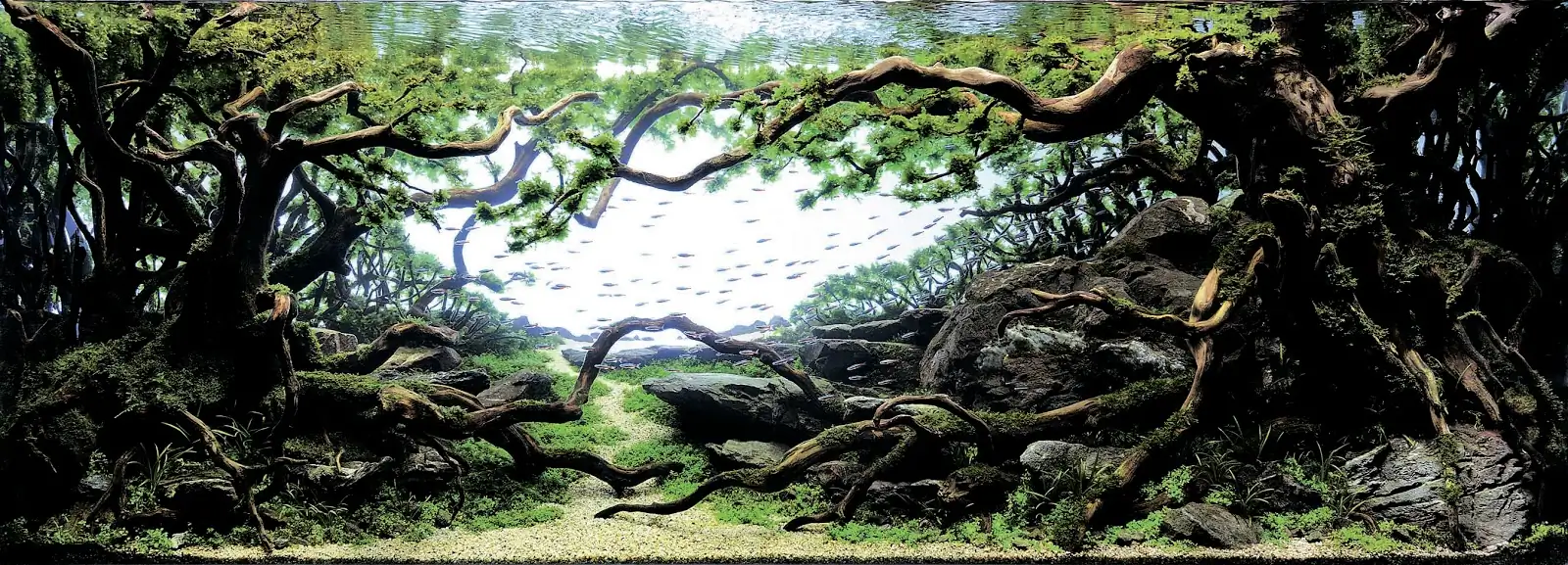 Pale Wind